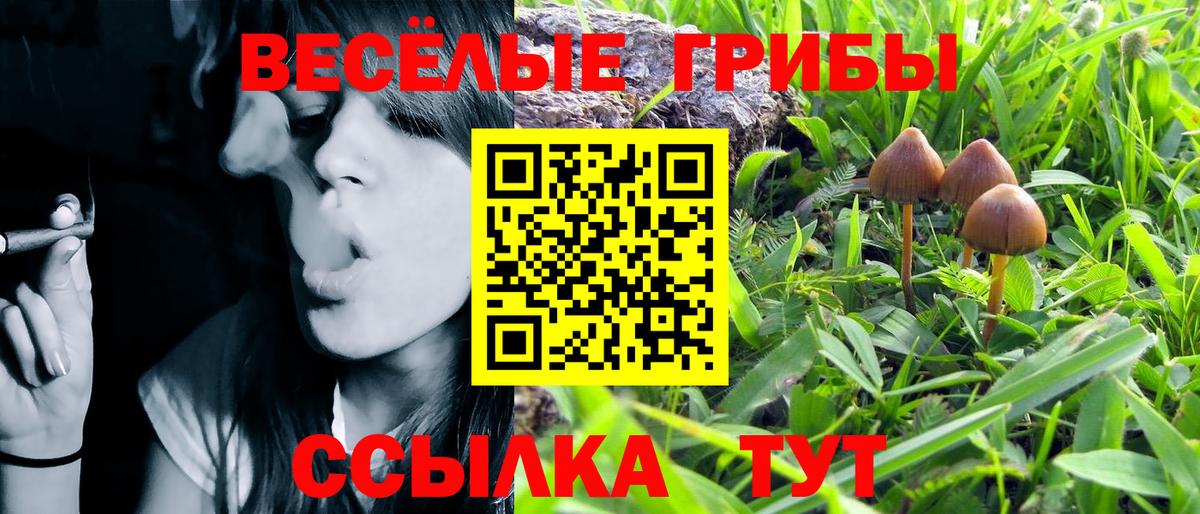 Галлюциногенные грибы мицелий Асино