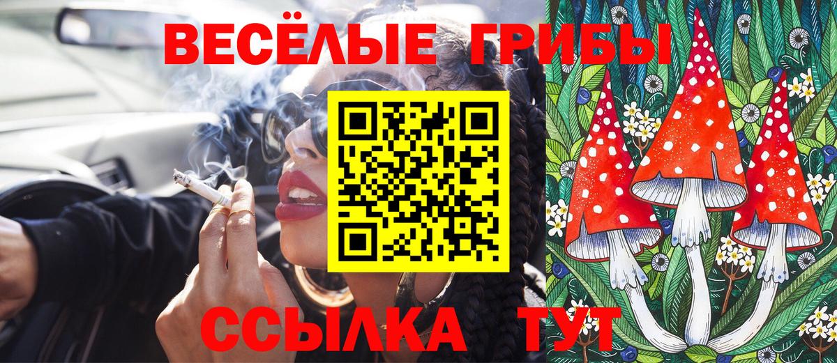 Псилоцибиновые грибы MAGIC MUSHROOMS  Вход с VPN  Асино 